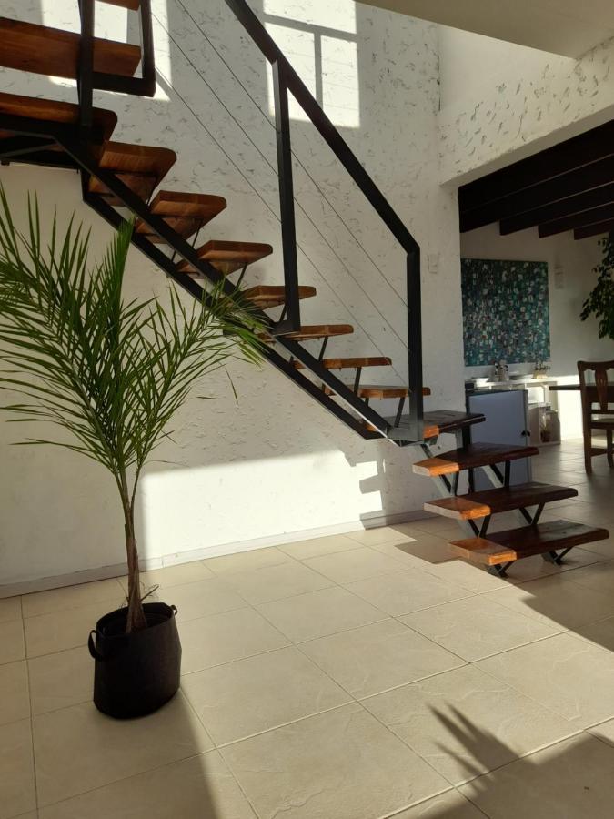 Apartmán Casa Luminosa Con Parque Y Vista Espectacular El Calafate Exteriér fotografie
